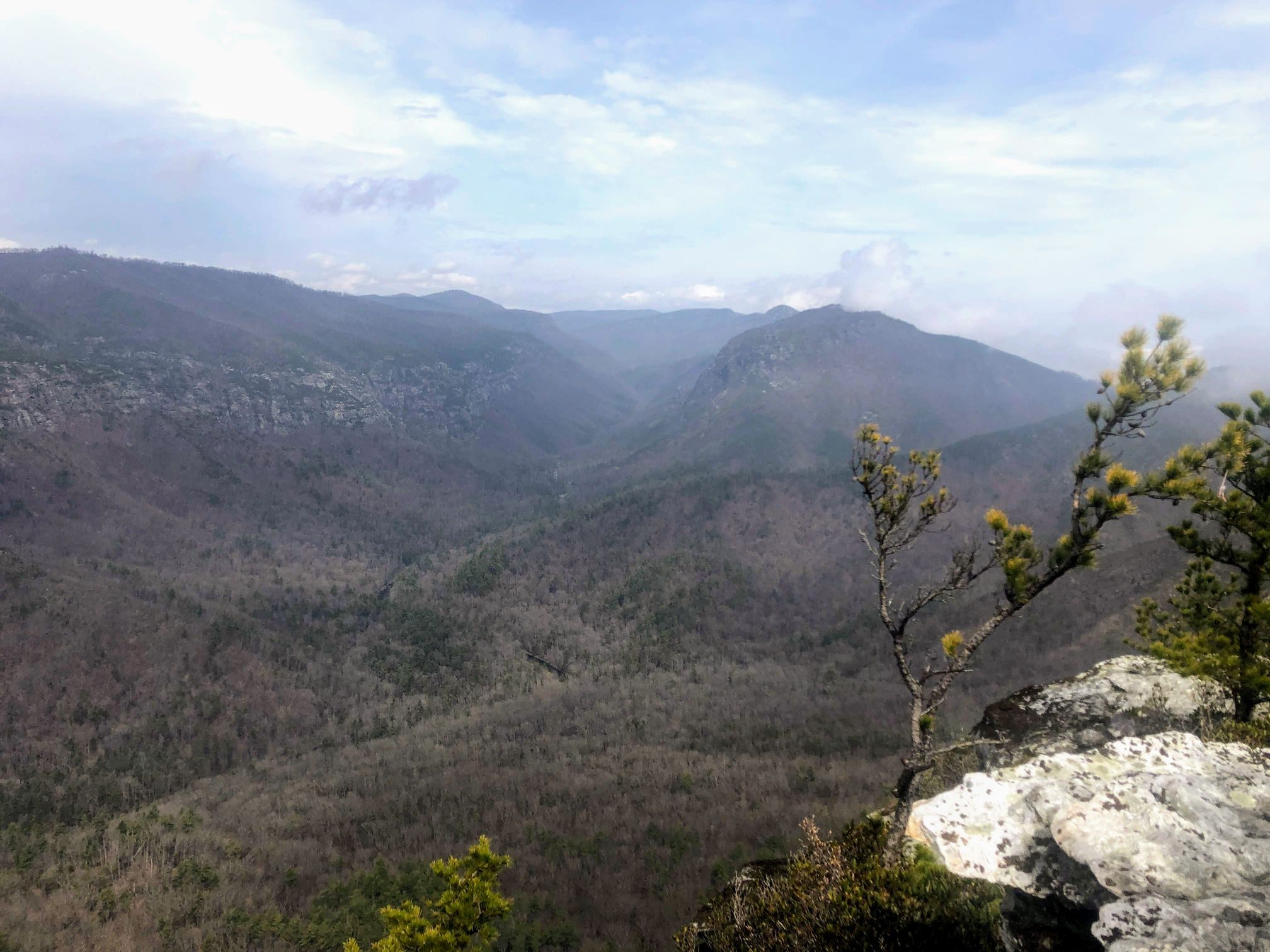 Exploring the East Rim of the Linville Gorge