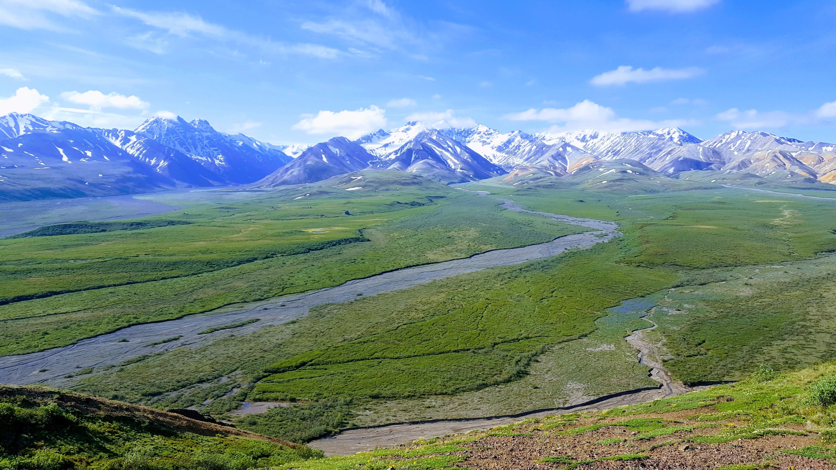 Backcountry hiking, where did the trails go?