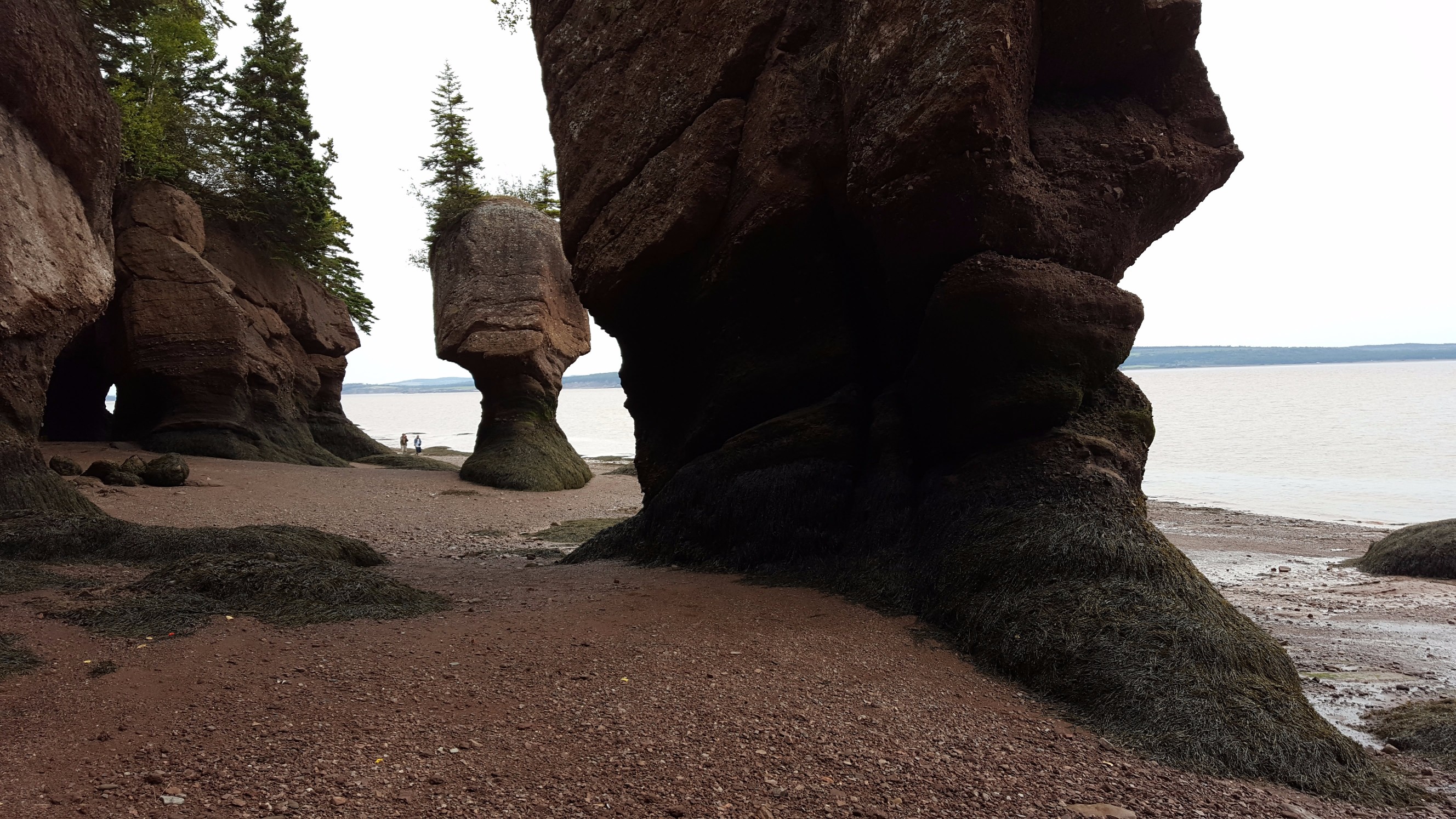 Hopewell Rocks, Flower Pots, and the Worlds Longest Covered Bridge!  