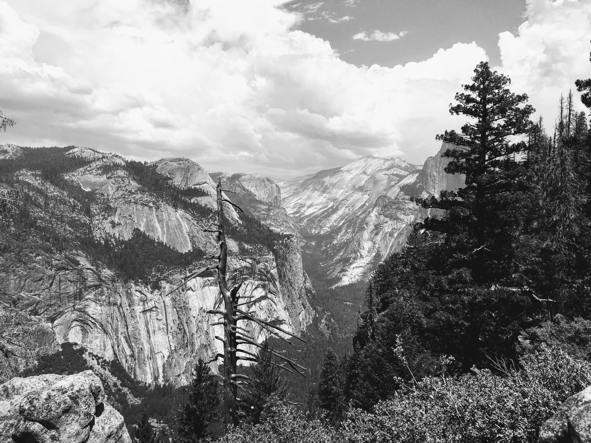 Hiking to Glacier Point!