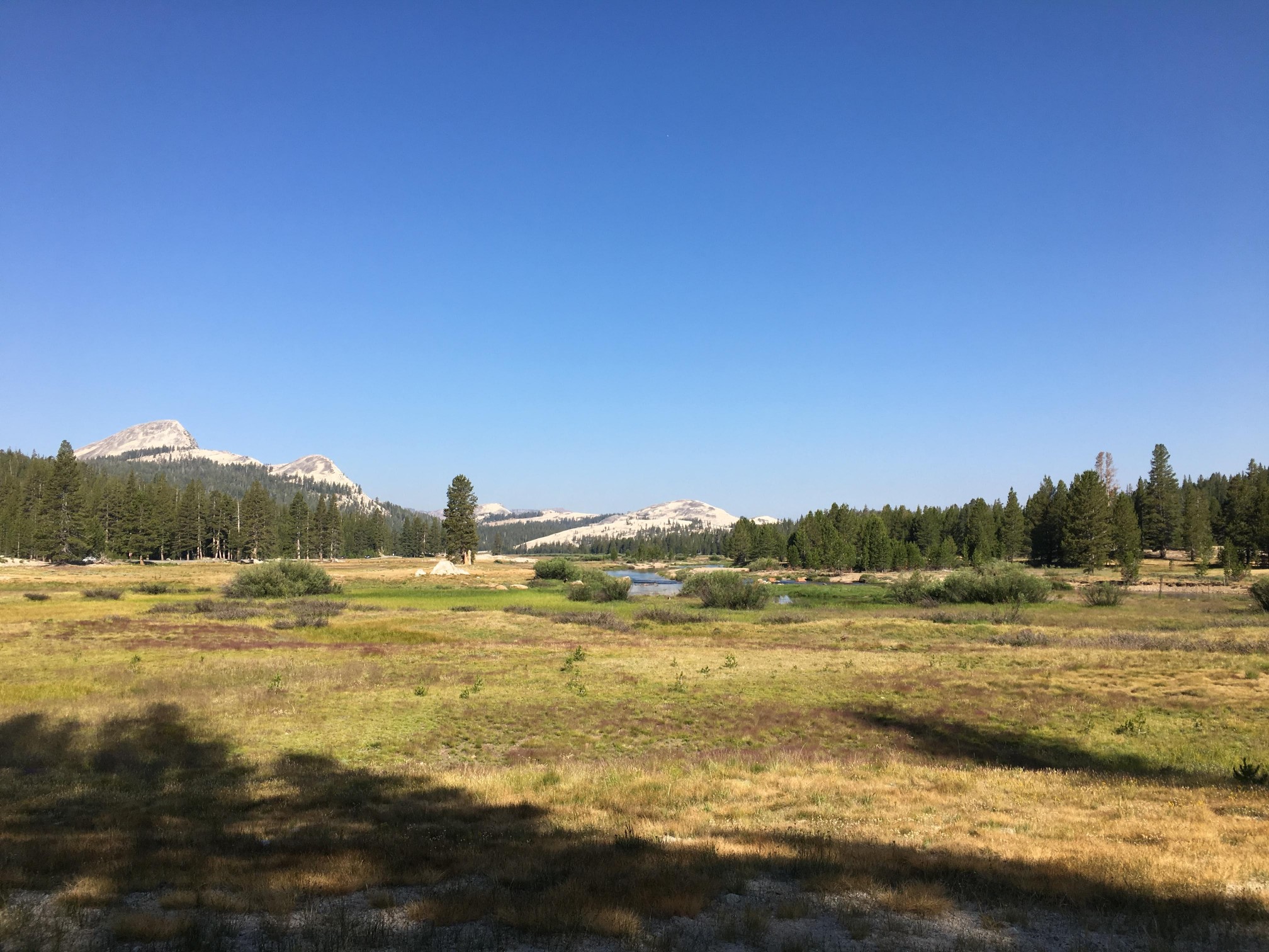 Tuolumne Meadows!